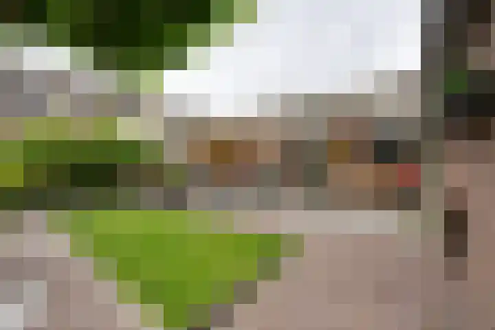 Boeijerstraat 62 De Rijp thumbnail 36