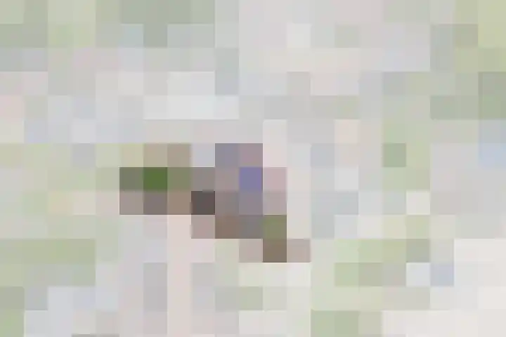 Boeijerstraat 62 De Rijp thumbnail 5