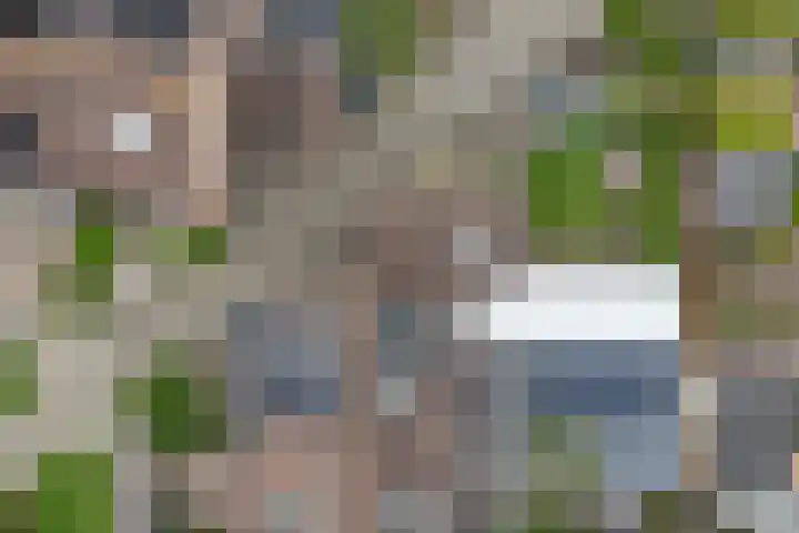 Boeijerstraat 62 De Rijp thumbnail 69