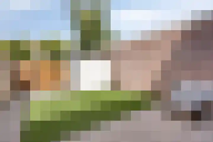 Boeijerstraat 66 De Rijp thumbnail 27