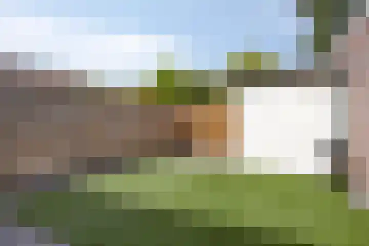 Boeijerstraat 66 De Rijp thumbnail 29