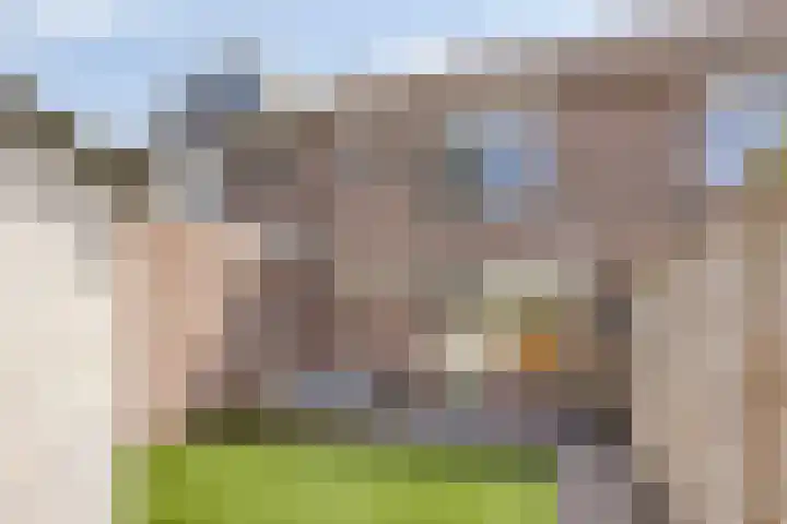 Boeijerstraat 66 De Rijp thumbnail 30