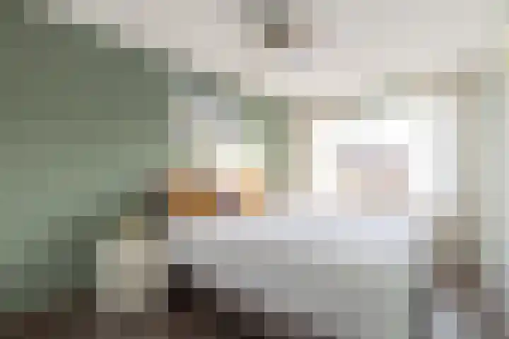 Boeijerstraat 68 De Rijp thumbnail 14