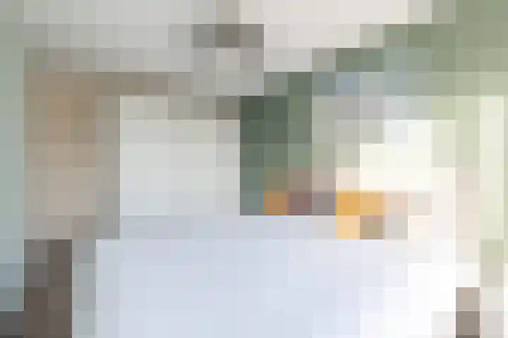 Boeijerstraat 68 De Rijp thumbnail 15