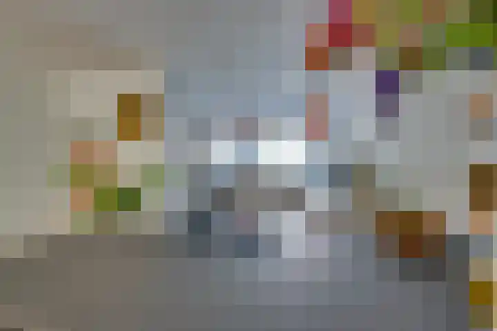 Boeijerstraat 96 De Rijp thumbnail 19