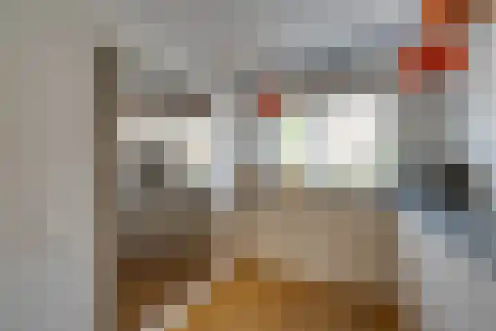 Boeijerstraat 96 De Rijp thumbnail 21