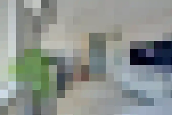 Boeijerstraat 96 De Rijp thumbnail 33