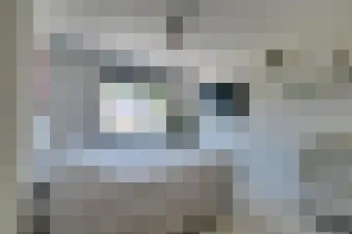 Boeijerstraat 96 De Rijp thumbnail 35
