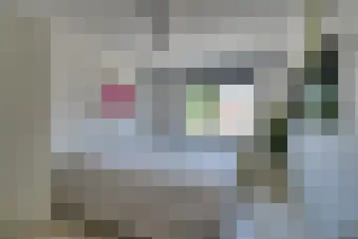 Boeijerstraat 96 De Rijp thumbnail 36