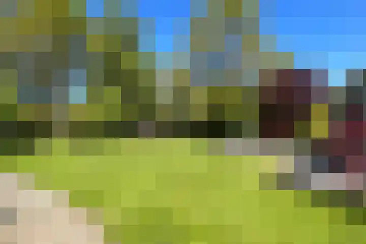 Boeijesbosch 33 Burgh-Haamstede thumbnail 10