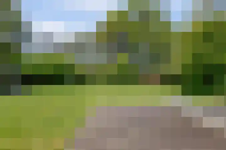 Boeijesbosch 33 Burgh-Haamstede thumbnail 12