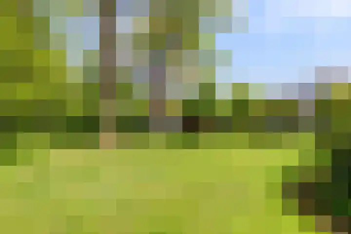 Boeijesbosch 33 Burgh-Haamstede thumbnail 13