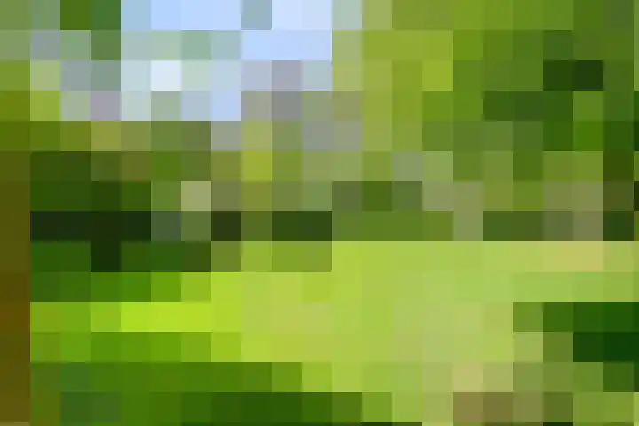Boeijesbosch 33 Burgh-Haamstede thumbnail 14