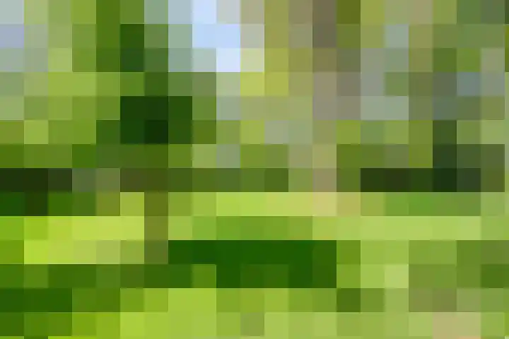 Boeijesbosch 33 Burgh-Haamstede thumbnail 15