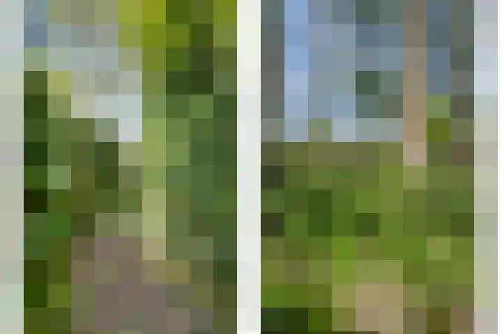 Boeijesbosch 33 Burgh-Haamstede thumbnail 18