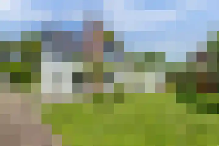 Boeijesbosch 33 Burgh-Haamstede thumbnail 19