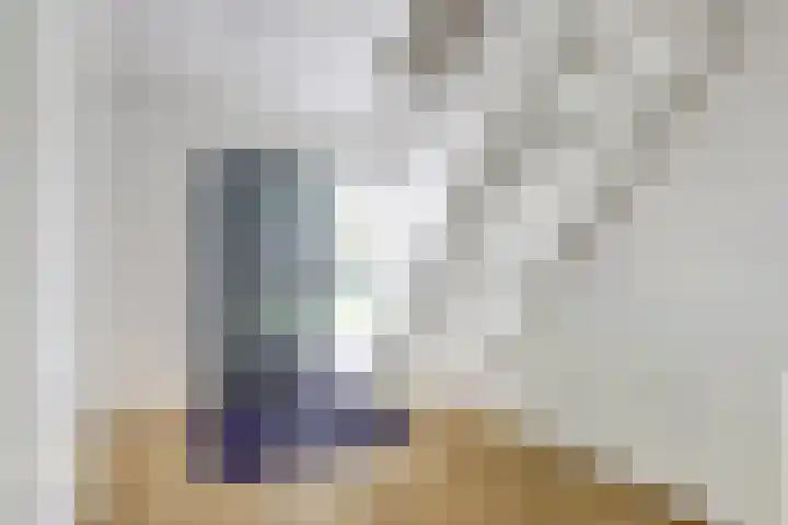 Boeijesbosch 33 Burgh-Haamstede thumbnail 20