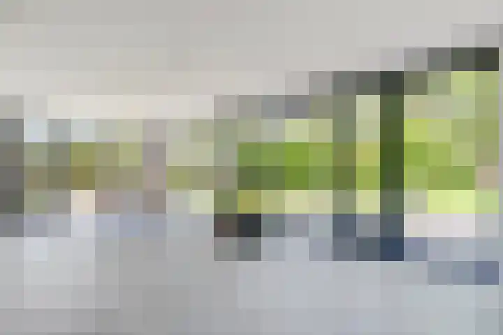 Boeijesbosch 33 Burgh-Haamstede thumbnail 29