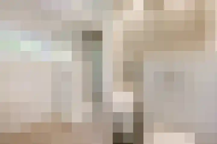 Boeijesbosch 33 Burgh-Haamstede thumbnail 31