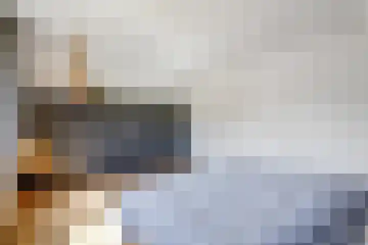 Boeijesbosch 33 Burgh-Haamstede thumbnail 37