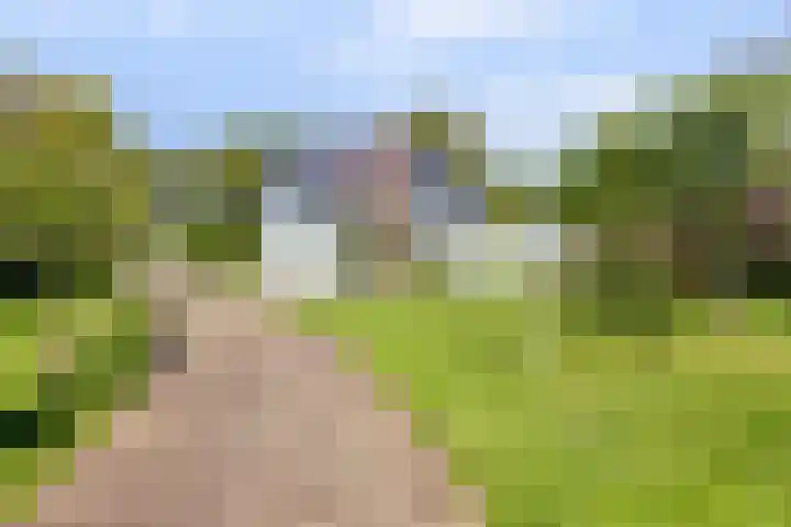 Boeijesbosch 33 Burgh-Haamstede thumbnail 4