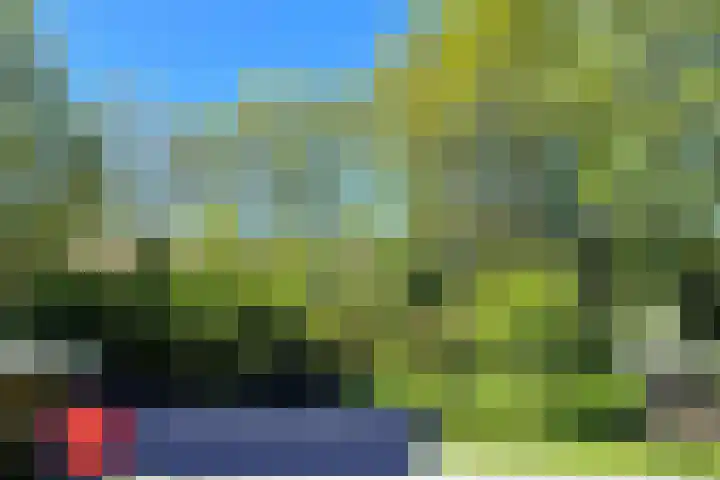 Boeijesbosch 33 Burgh-Haamstede thumbnail 40