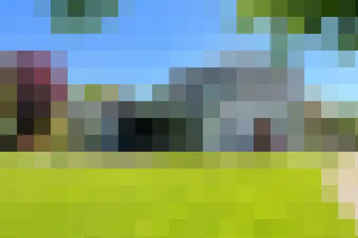 Boeijesbosch 33 Burgh-Haamstede thumbnail 41