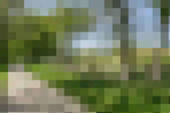Boeijesbosch 33 Burgh-Haamstede thumbnail 45