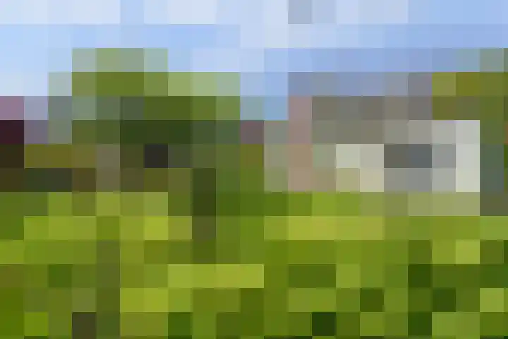 Boeijesbosch 33 Burgh-Haamstede thumbnail 5
