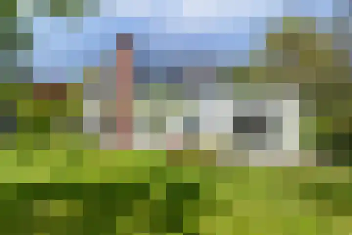 Boeijesbosch 33 Burgh-Haamstede thumbnail 6