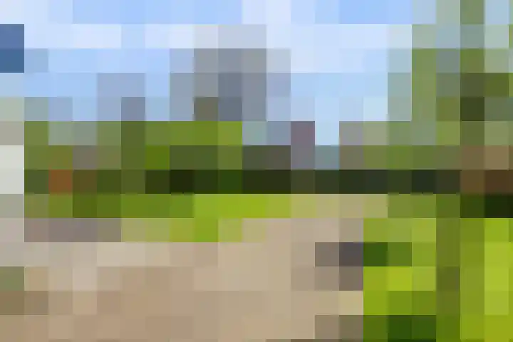 Boeijesbosch 33 Burgh-Haamstede thumbnail 7