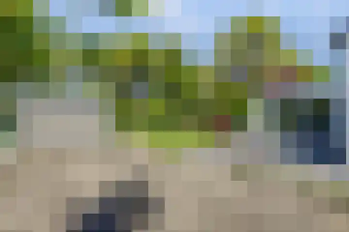 Boeijesbosch 33 Burgh-Haamstede thumbnail 9