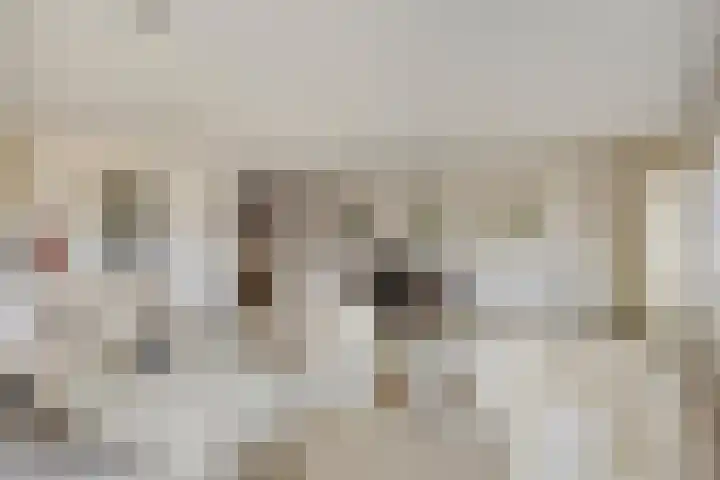Boeimeerhof 25 Breda thumbnail 10