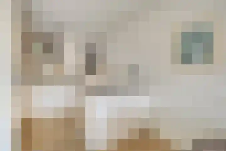 Boeimeerhof 25 Breda thumbnail 13