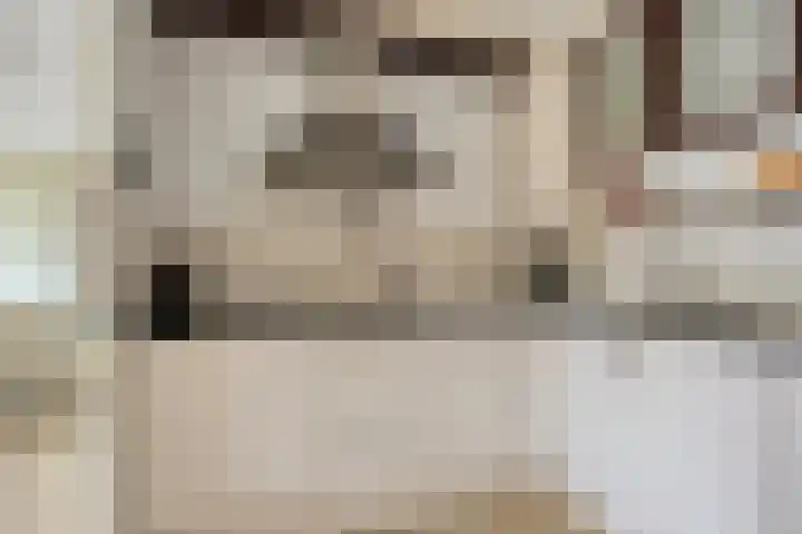 Boeimeerhof 25 Breda thumbnail 14