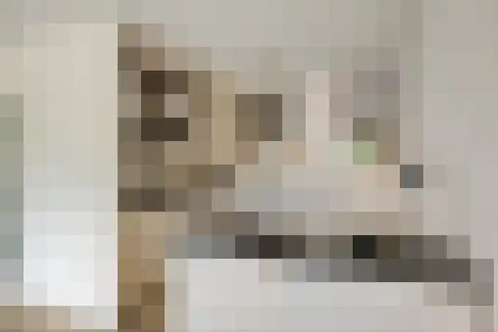 Boeimeerhof 25 Breda thumbnail 15