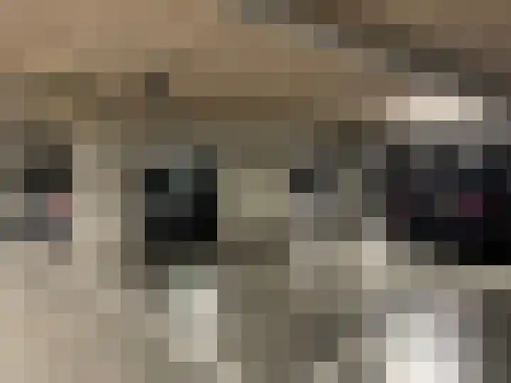 Boeimeerhof 25 Breda thumbnail 22