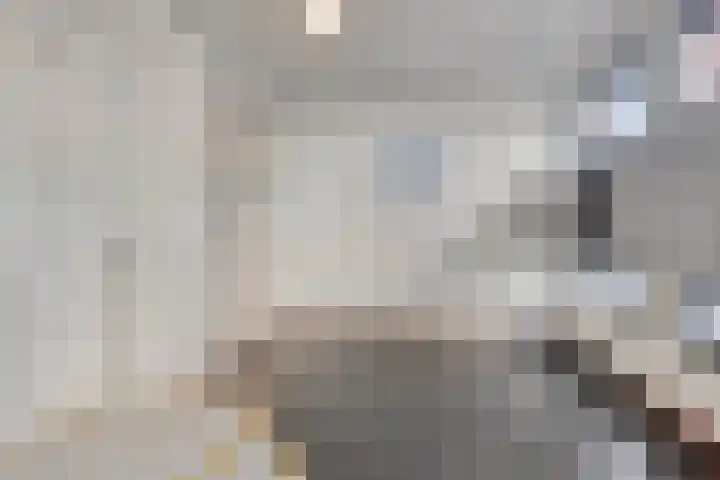 Boeimeerhof 25 Breda thumbnail 4