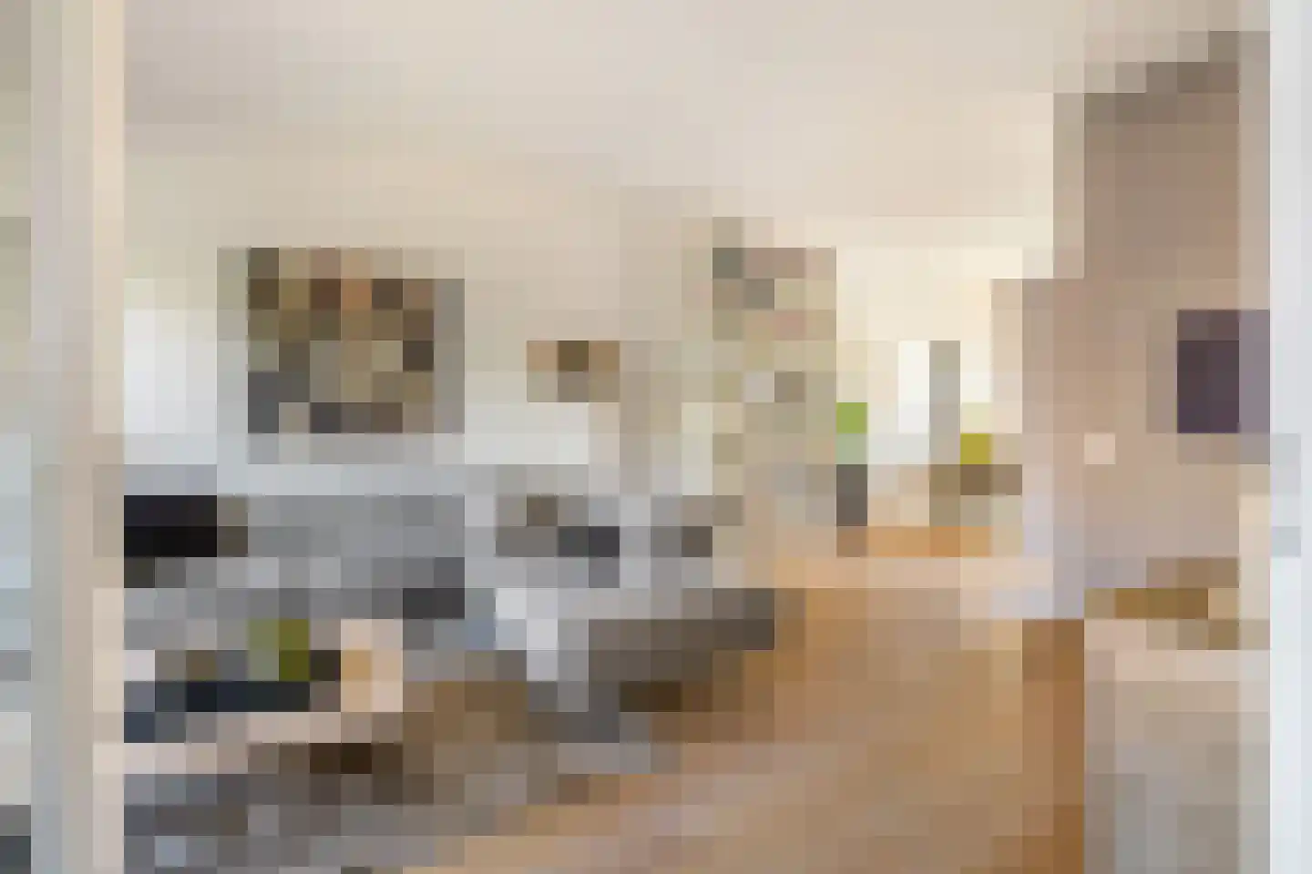 Boeimeerhof 42 Breda thumbnail 15
