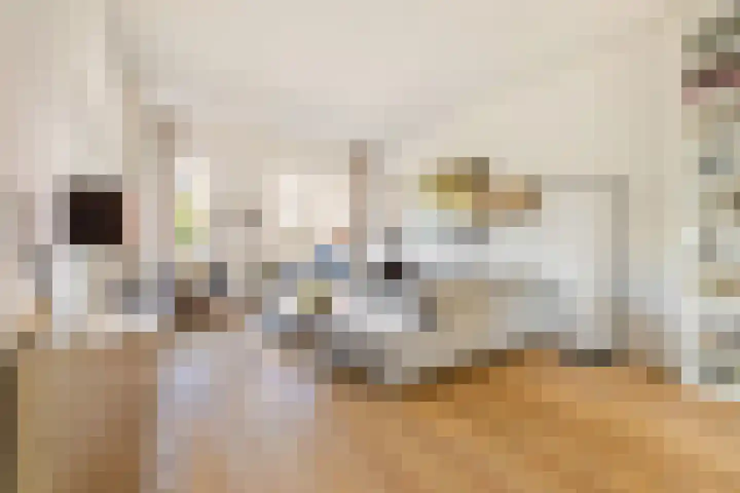 Boeimeerhof 42 Breda thumbnail 16