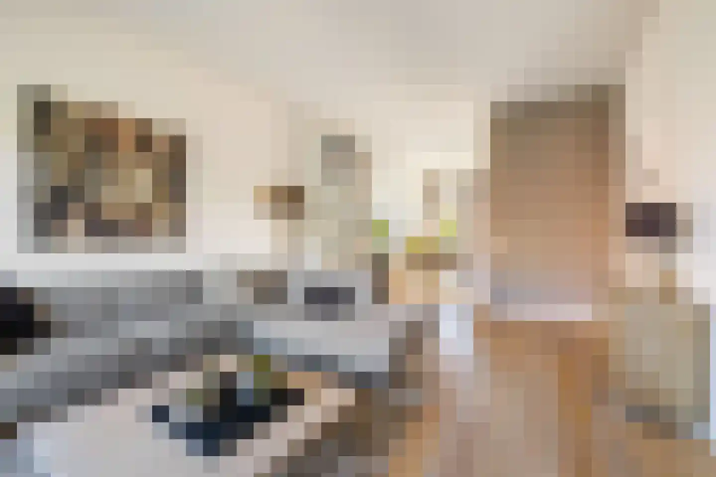 Boeimeerhof 42 Breda thumbnail 20
