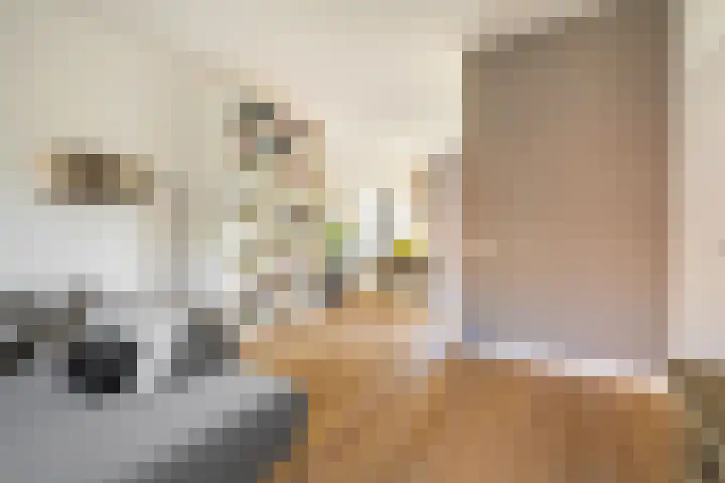 Boeimeerhof 42 Breda thumbnail 21