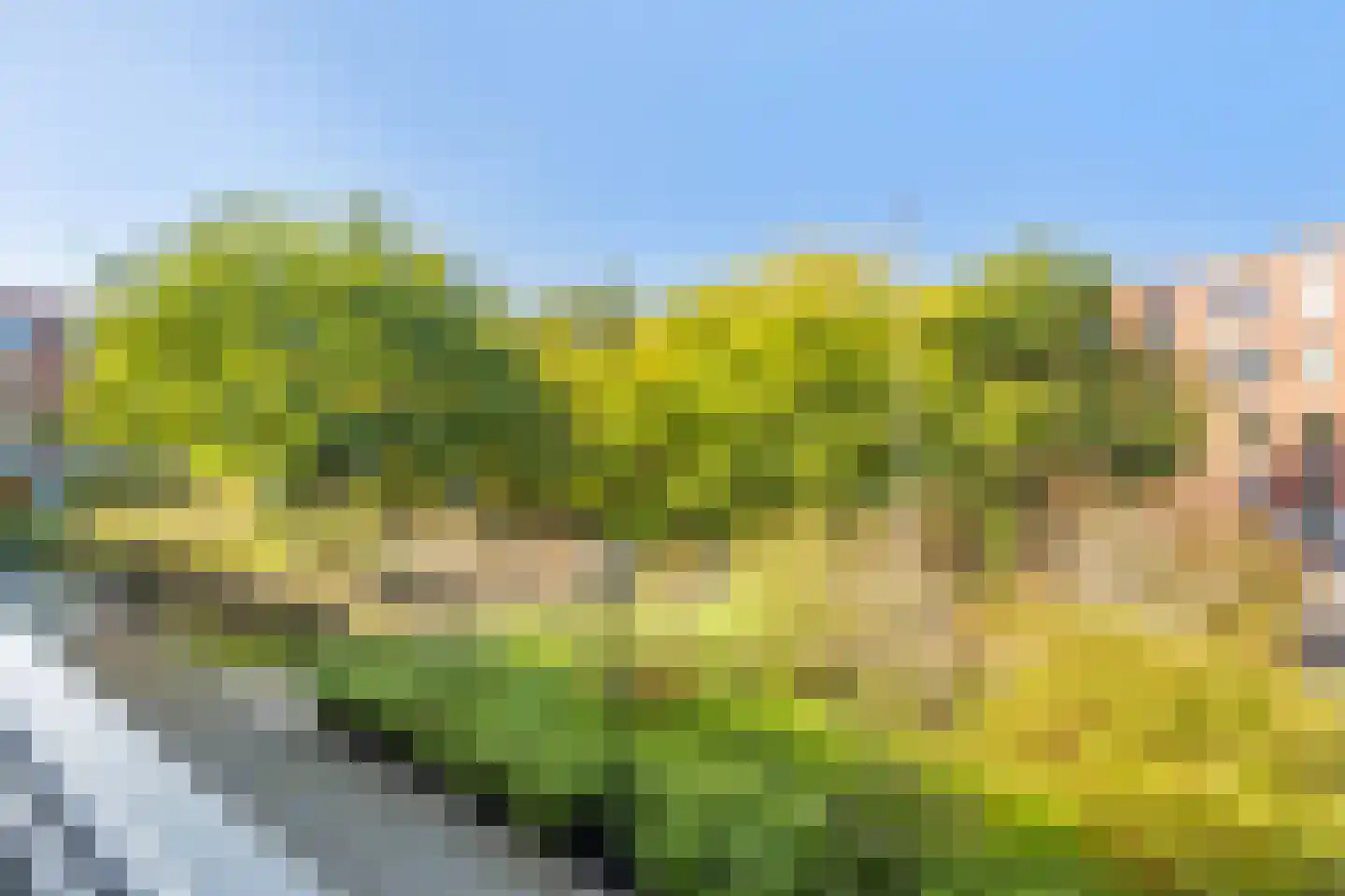 Boeimeerhof 42 Breda thumbnail 33