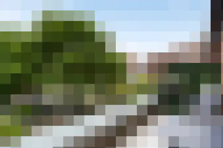 Boeimeerhof 46 Breda thumbnail 20