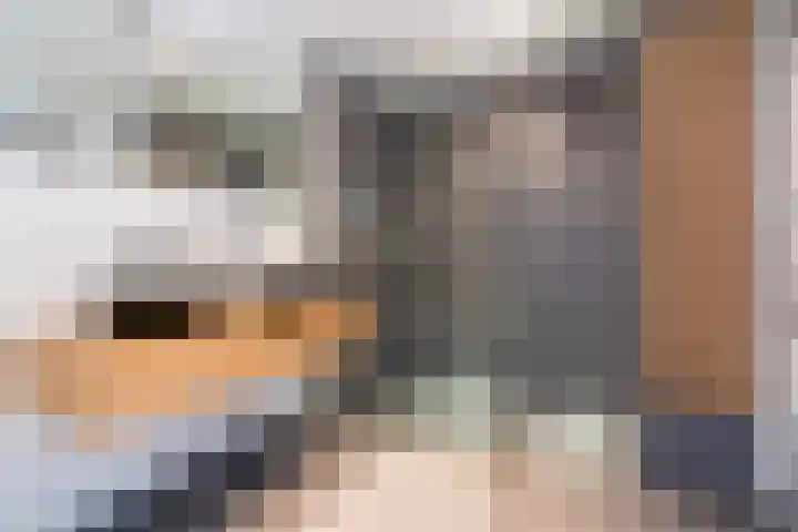 Boeimeerhof 46 Breda thumbnail 30