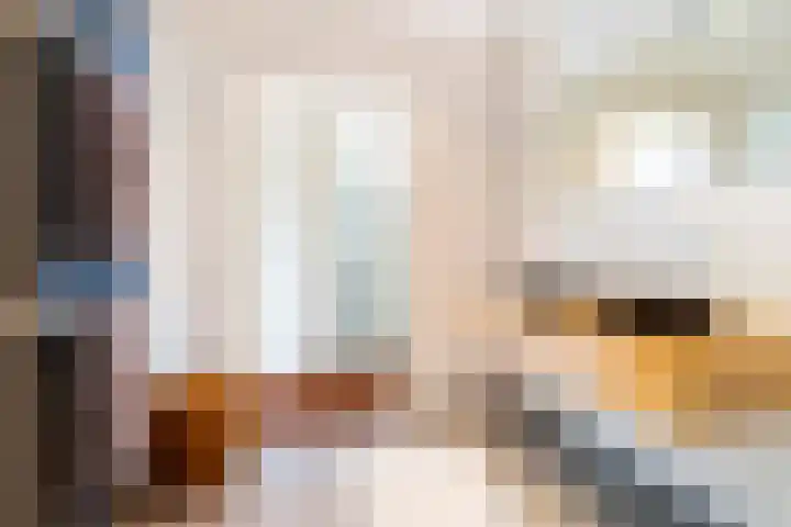 Boeimeerhof 46 Breda thumbnail 31