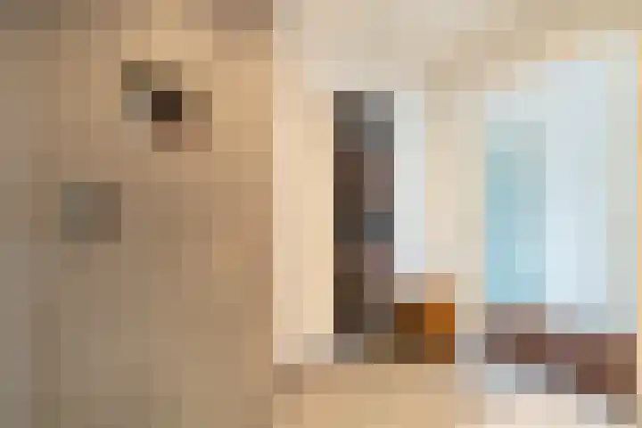 Boeimeerhof 46 Breda thumbnail 33