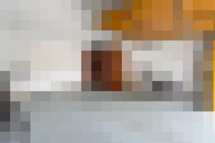 Boeimeerhof 46 Breda thumbnail 45