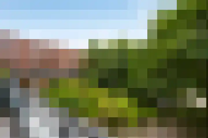Boeimeerhof 46 Breda thumbnail 52