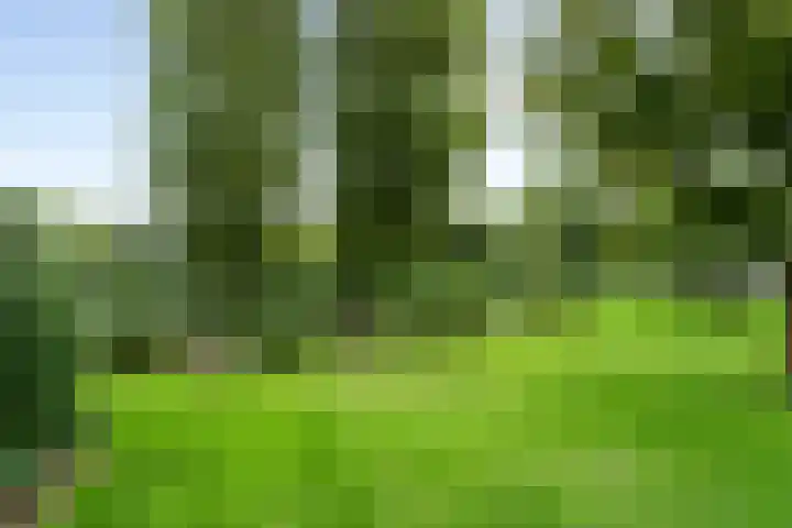Boeimeerhof 46 Breda thumbnail 55